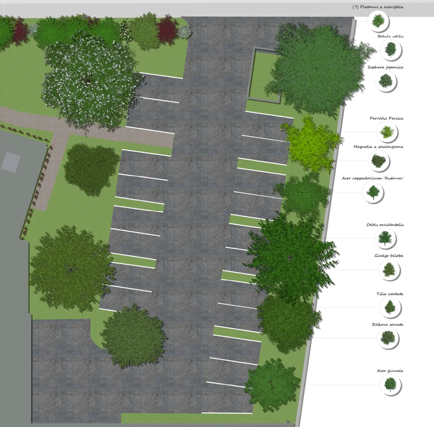 Détail variétés arbres